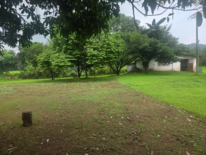  Plot – Exterior View View at Usha Nagar - for Sale