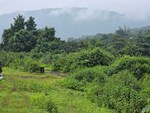 6 Acre Plot in Khetwadi