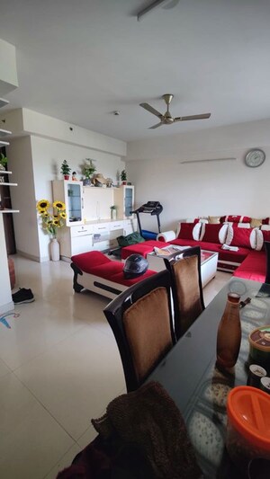 3.5 BHK Apartment For Rent in Adani M2K Oyster Grande, Sector 102