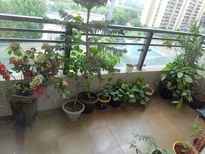 Parking in 3 BHK Builder Floor at Sector 22 – for Rent