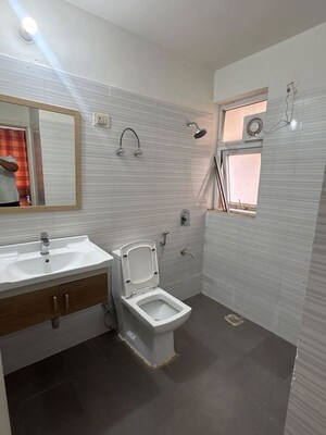 Kitchen in 3 BHK Builder Floor at Sector 21 – for Rent