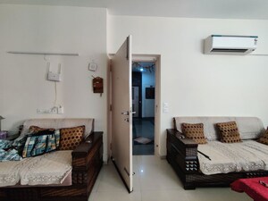 Living Room in 3 BHK Builder Floor at Sector 22 – for Rent
