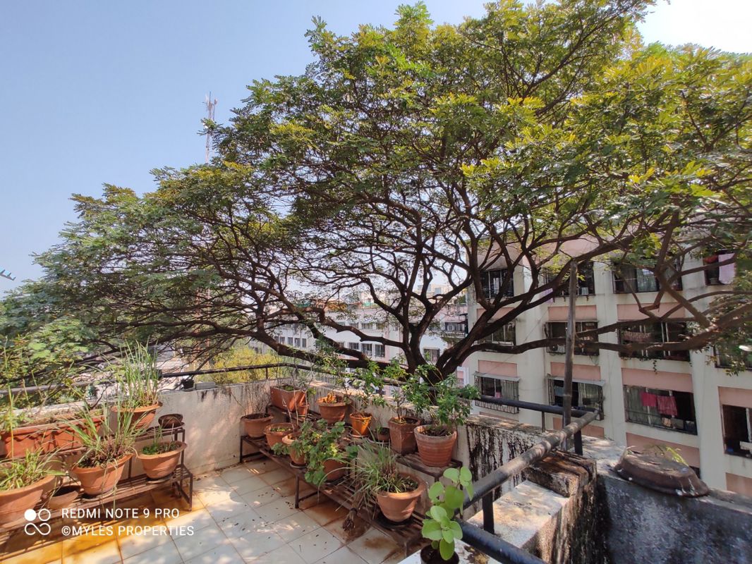 3 BHK Apartment – Exterior View View at Clover Village, Wanowrie - for Sale