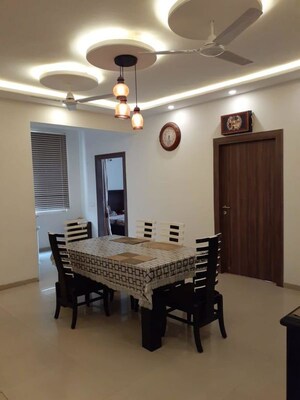 Team Area in 3 BHK Builder Floor at Sector 21 – for Rent