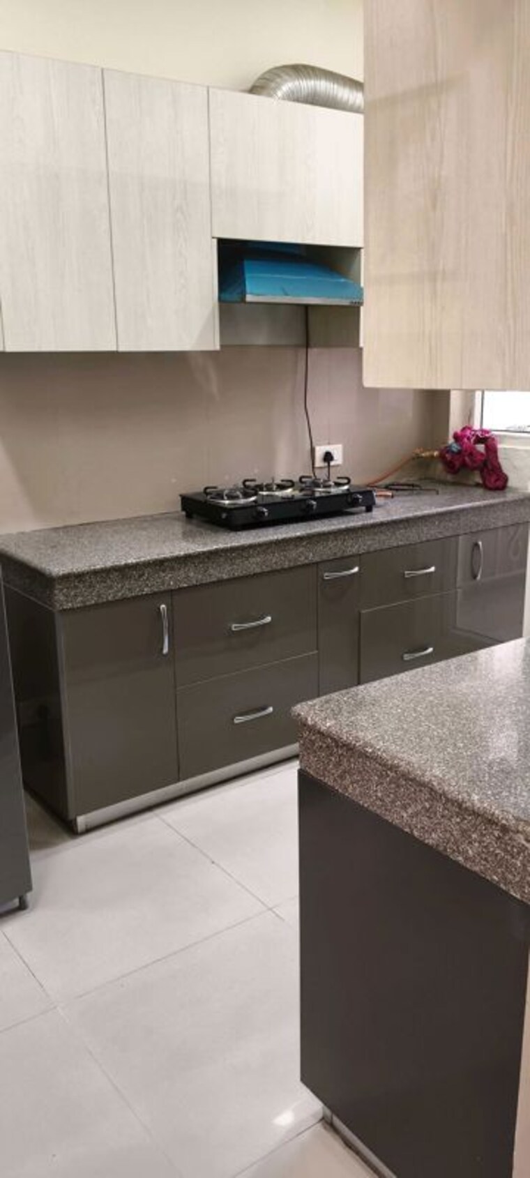 Kitchen, sector 23 3 Bedroom 1550 Sq.Ft. Builder Floor In Sector 23 Gurgaon 10698710