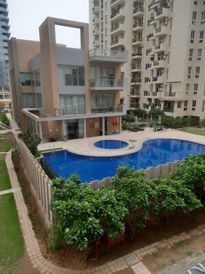 Swimming Pool in 3 BHK Apartment at Emaar Emerald Estate, Sector 65 – for Rent