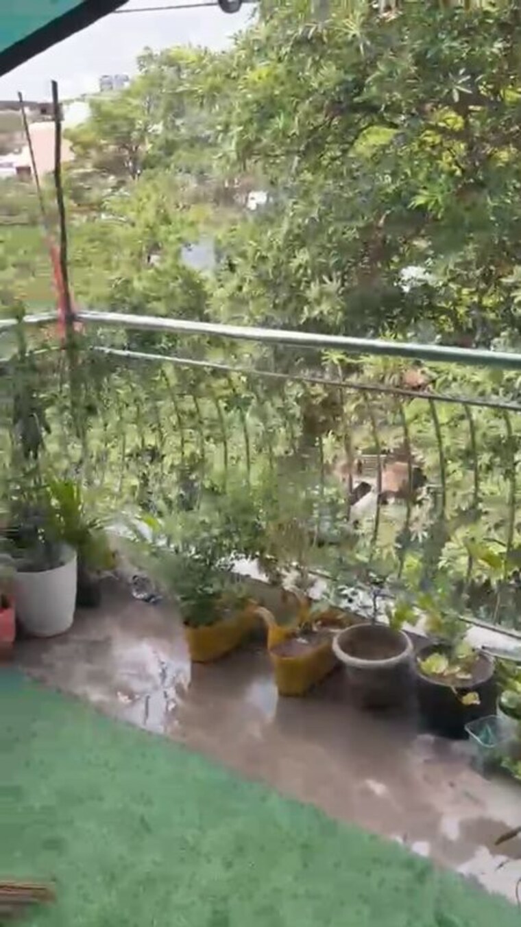 Balcony, sarita vihar 1.5 Bedroom 1000 Sq.Ft. Apartment In Sarita Vihar Delhi 10698868