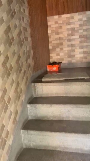 Kitchen in 1.5 BHK Apartment at Sarita Vihar – for Rent