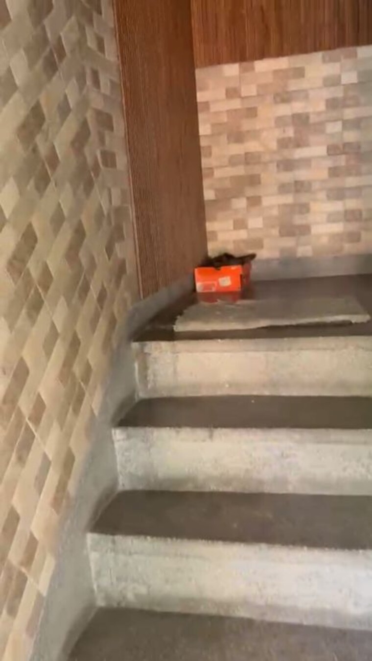 Kitchen, sarita vihar 1.5 Bedroom 1000 Sq.Ft. Apartment In Sarita Vihar Delhi 10698868