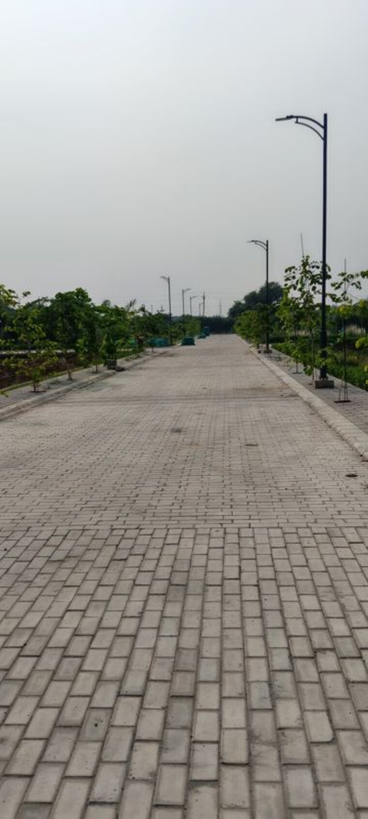 Exterior View, sector 110  117 Sq.Yd. Plot In Sector 110 Faridabad 10699012