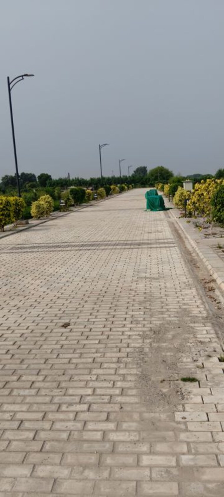 Exterior View, sector 110  117 Sq.Yd. Plot In Sector 110 Faridabad 10699012