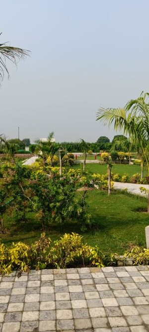  Plot – Exterior View View at Sector 110 - for Sale