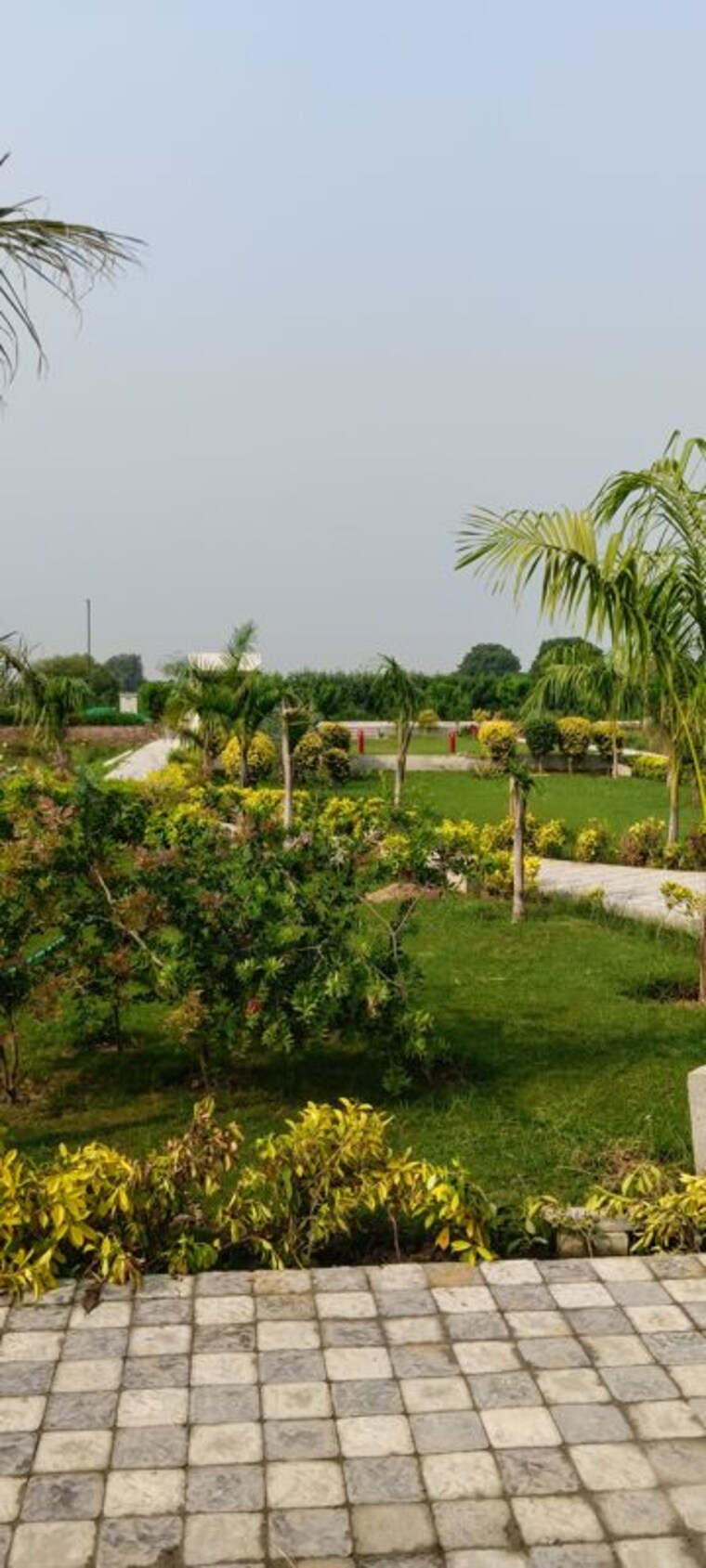 Exterior View, sector 110  117 Sq.Yd. Plot In Sector 110 Faridabad 10699012