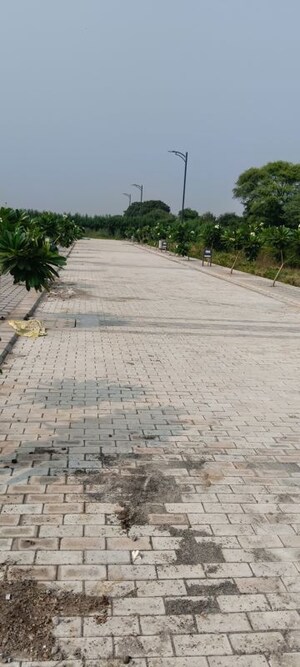 Plot Area in  Plot at Sector 110 – for Sale
