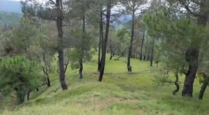  Plot – Garden View at Ranikhet - for Sale