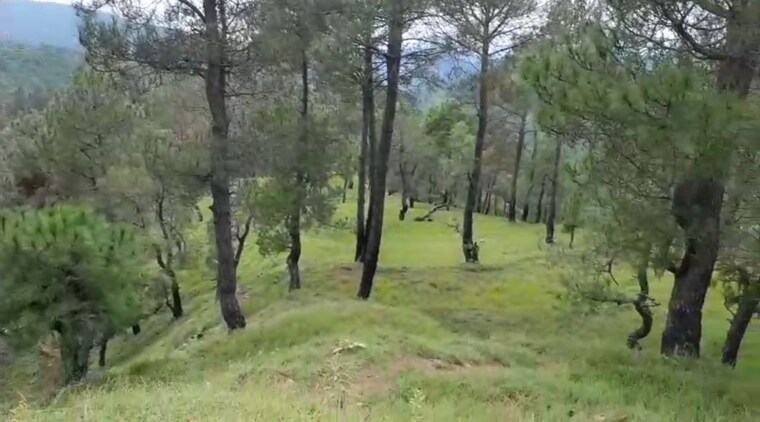 Garden, ranikhet  240 Sq.Yd. Plot In Ranikhet Nainital 9888821