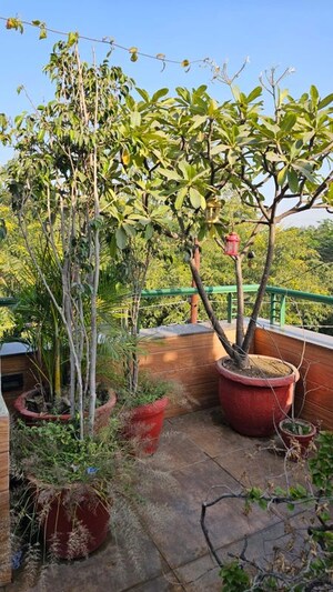  Plot – Garden View at Sector 44 - for Sale