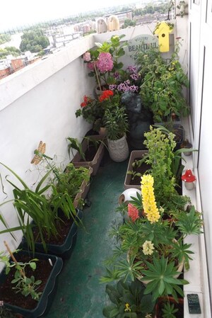 Balcony in  Pg at Vibhuti Khand – for Rent