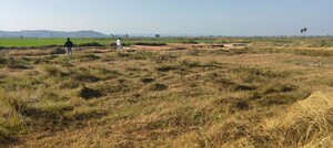 Plot Area in  Plot at Sohna Sector 25 – for Sale