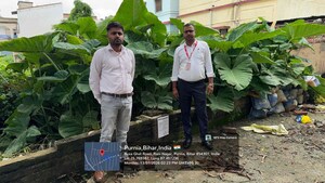   Land at Rani Nagar – for Sale