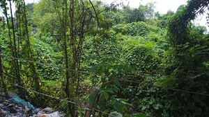  Land – Garden View at Ramchandrapur - for Sale