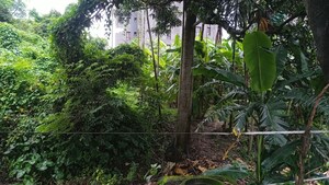  Land For Sale in Ramchandrapur