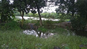 Plot Area in  Land at Ramchandrapur – for Sale