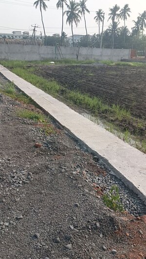 Plot Area in  Plot at Paritala – for Sale
