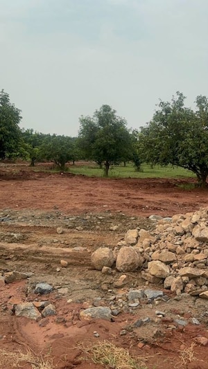 Plot Area in  Plot at Gollapudi – for Sale
