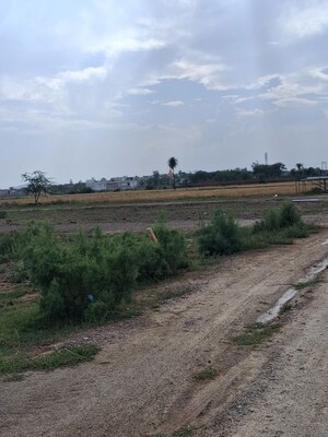   Plot at Sohna – for Sale