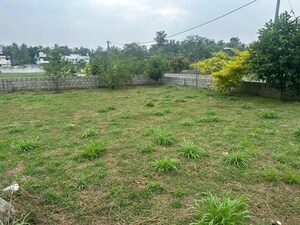 Plot Area in  Plot at Kechery – for Sale