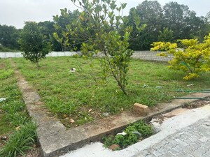 Plot Area in  Plot at Kechery – for Sale