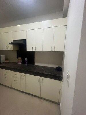Kitchen in 3 BHK Apartment at Paramount Floraville, Sector 137 – for Rent