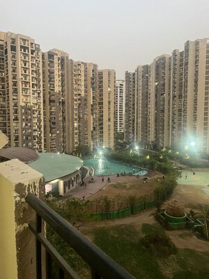 3 BHK Apartment For Rent in Paramount Floraville, Sector 137