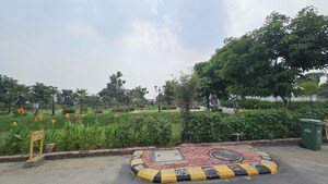  Plot – Exterior View View at Soha Olive Town, Sector 98 - for Sale