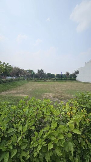 Plot Area in  Plot at Soha Neal City, Sector 98 – for Sale