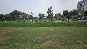  Plot – Garden View at Mansha Orchid, Sector 110 - for Sale