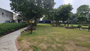  Plot – Garden View at Mansha Orchid, Sector 110 - for Sale
