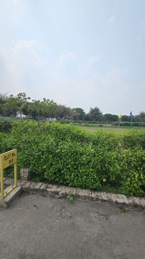 Plot Area in  Plot at Mansha Orchid, Sector 110 – for Sale
