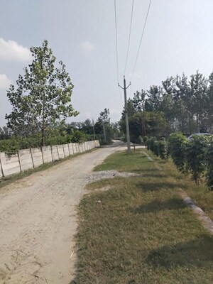 Plot Area in  Plot at Didauli – for Sale