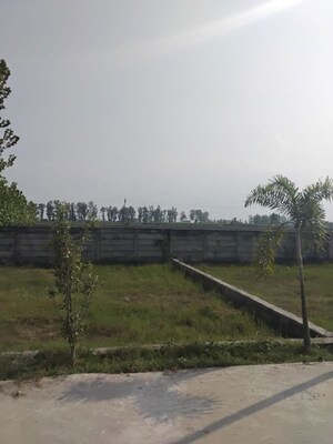 Plot Area in  Plot at Didauli – for Sale