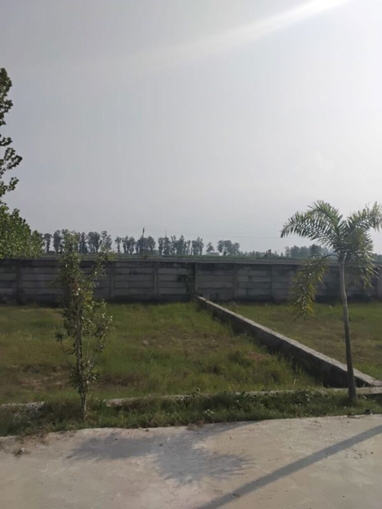 undefined, didauli  900 Sq.Ft. Plot In Didauli Amroha 10701767