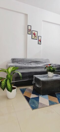 1 BHK Apartment For Rent in Vidya Nagar