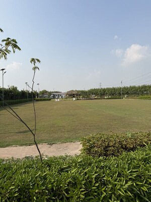 Plot Area in  Plot at SS Sainik Farms, Sector 150 – for Sale