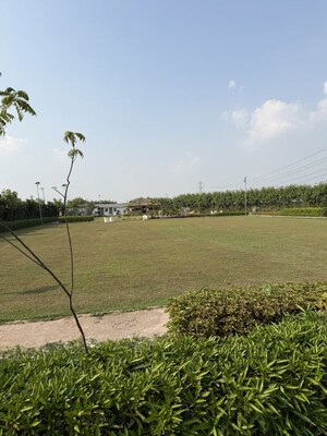   Plot at SS Sainik Farms, Sector 150 – for Sale