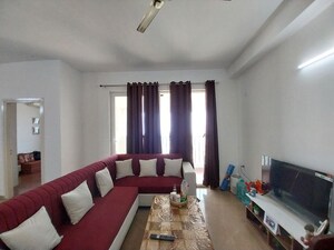 Living Room in 3 BHK Builder Floor at Sector 22 – for Rent