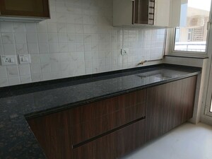Kitchen in 3 BHK Builder Floor at Sector 22 – for Rent