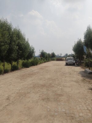  Plot For Sale in Lalru