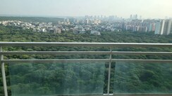 4 BHK +Apartment For Rent in DLF Park Place