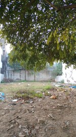316 Sq.Yd. Plot in DLF City Phase III
